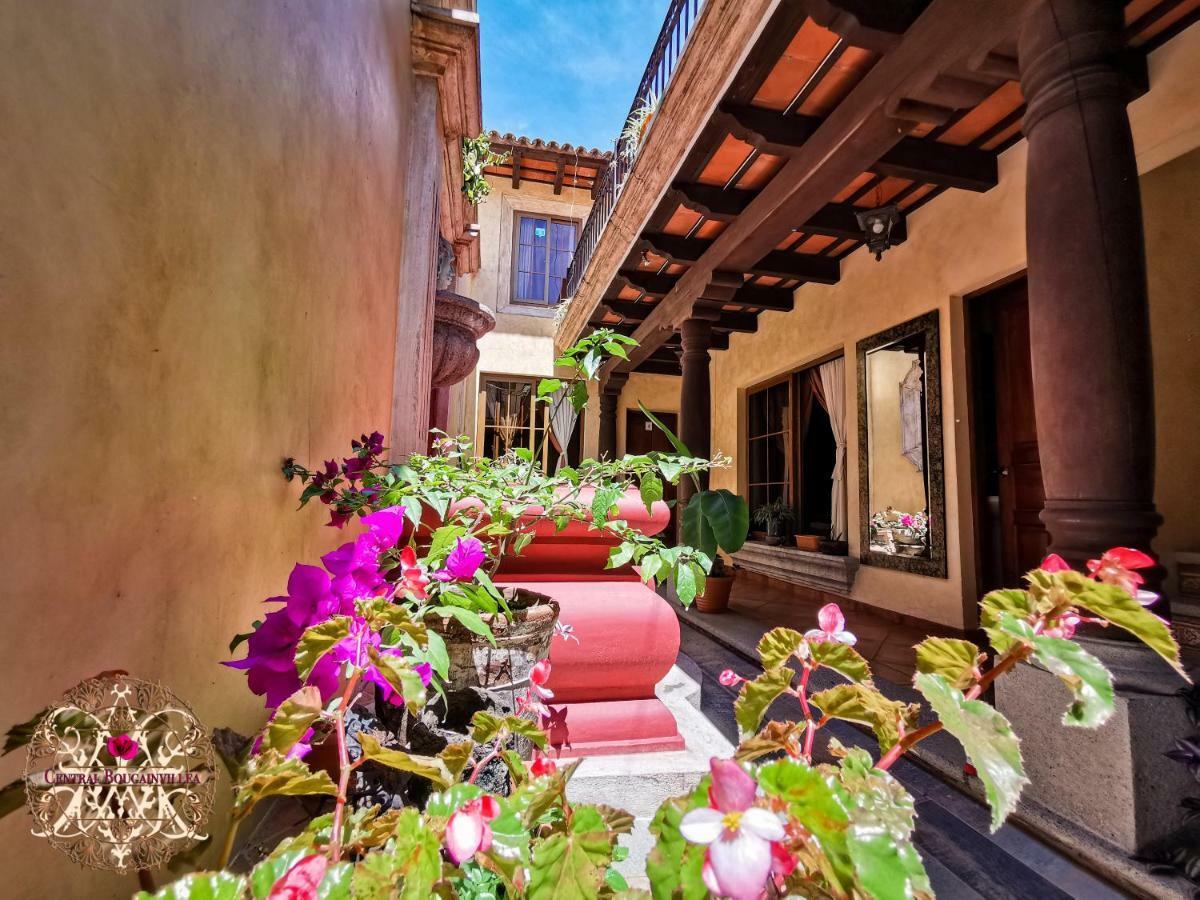 Central Bougainvillea Antigua Luaran gambar