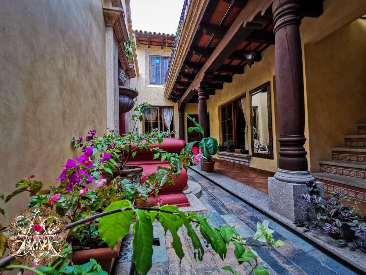 Central Bougainvillea Antigua Luaran gambar